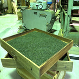 【数量限定】走り新茶