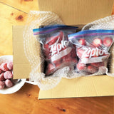 冷凍イチゴ 500g(業務用サイズ)