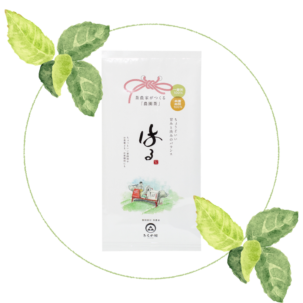 2026新茶】深蒸し煎茶 はる – 茶農家ひらの園