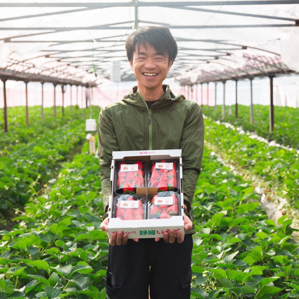 完熟いちご・紅ほっぺ 4p1ケース – 茶農家ひらの園