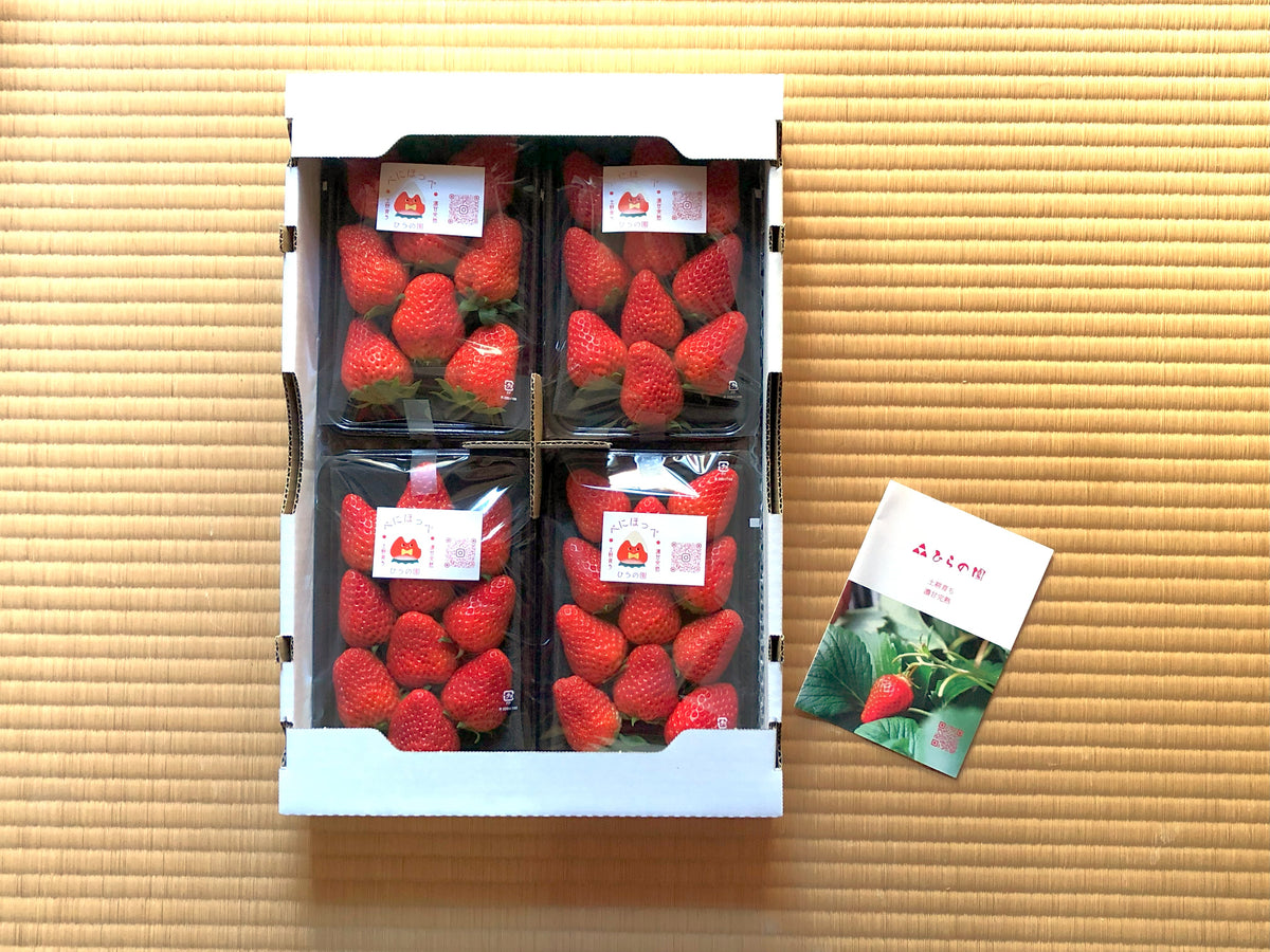 完熟いちご紅ほっぺ – 茶農家ひらの園